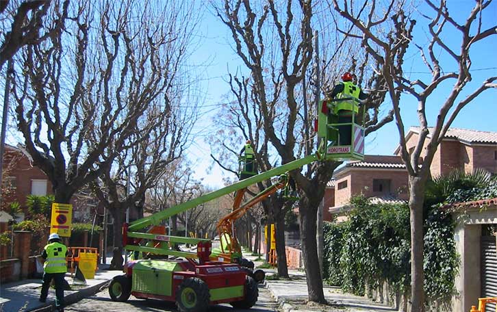 Formación en Servicios de Jardinería