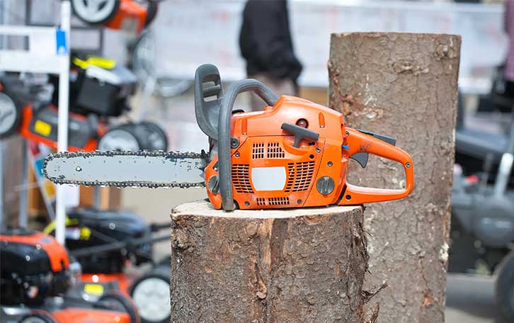 Formación en Servicios de Jardinería