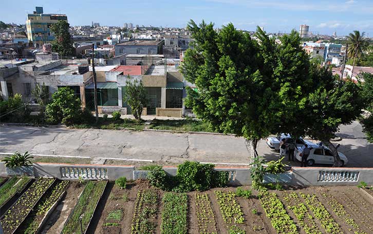 Formación en Servicios de Jardinería