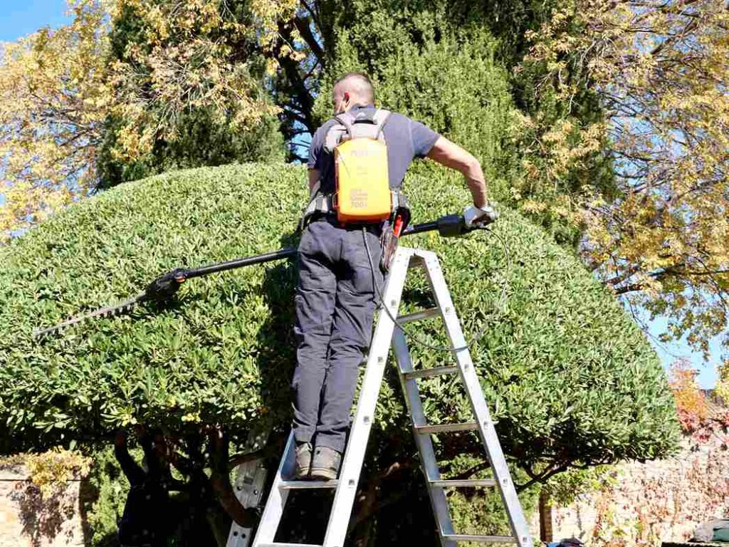 maestros jardineros