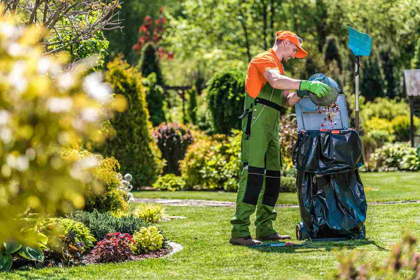 mantenimientos de jardines