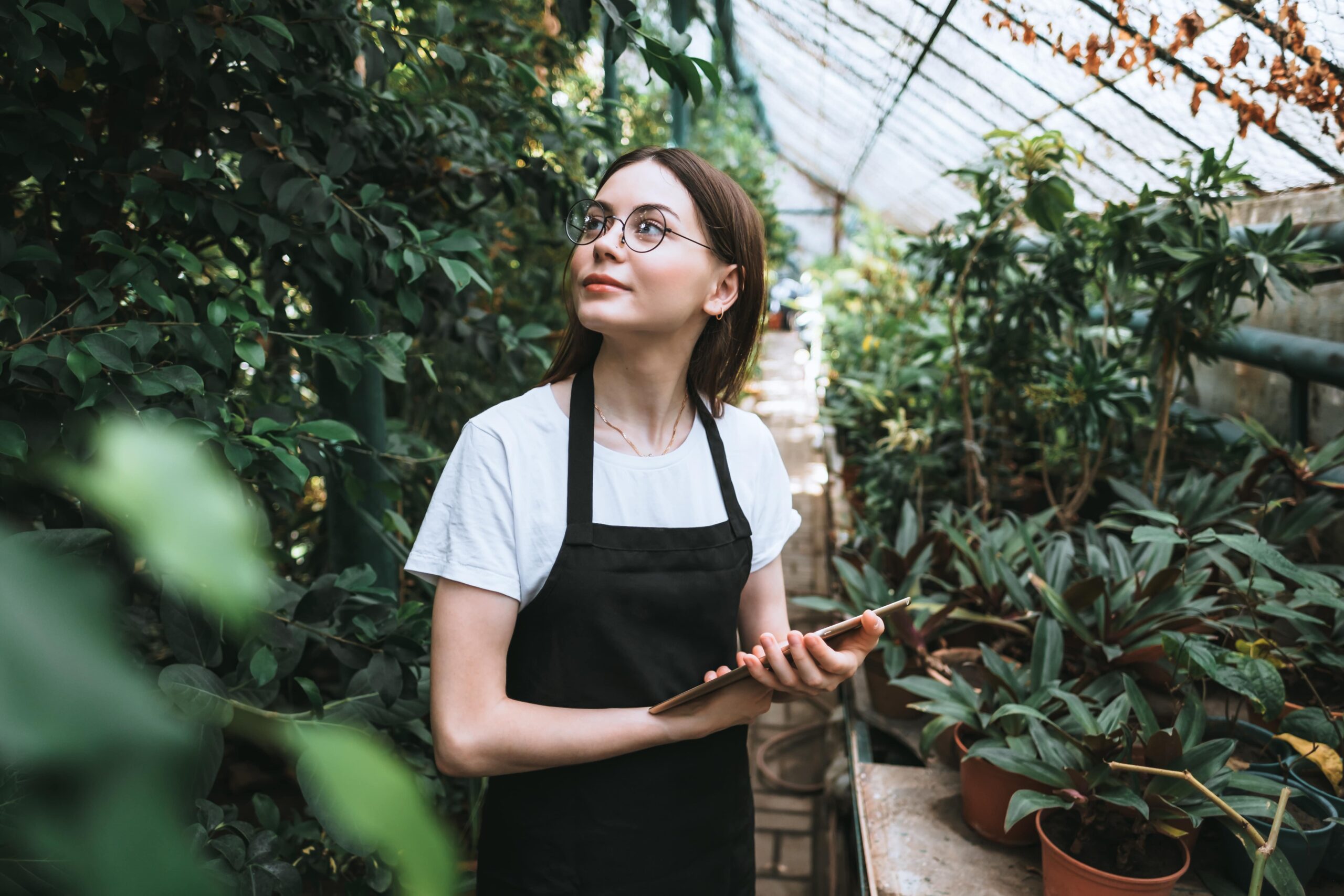 Jardineros en Valencia 7 razones para contratar servicios profesionales de paisajismo-min