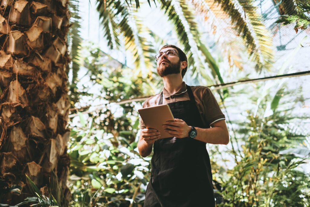 Servicio de jardinería en Valencia 3 servicios imprescindibles para mantener tu jardín-min